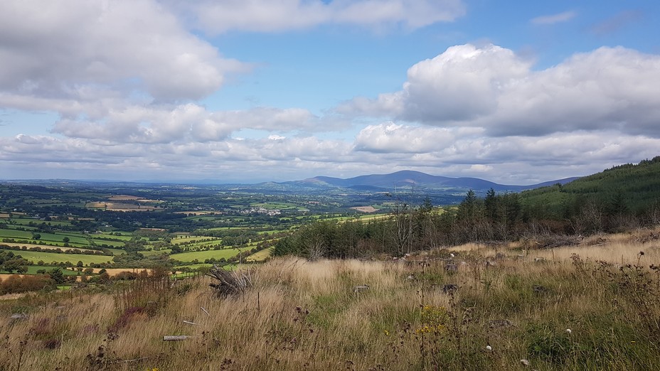 View on Mount Leinster, Brandon Hill