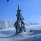 The upper meadow, Marys Peak