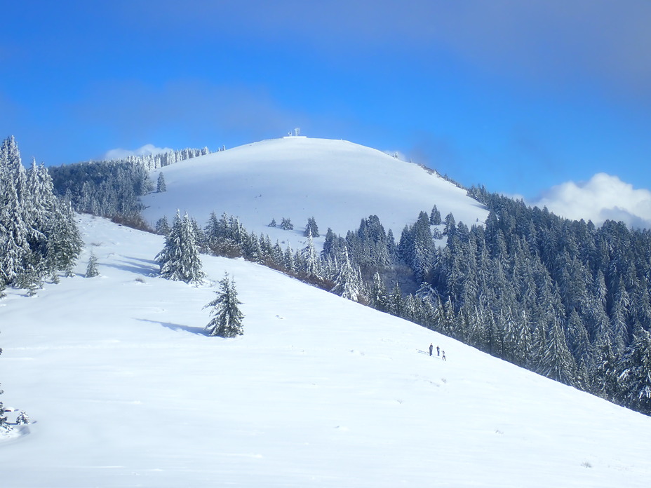 Marys Peak