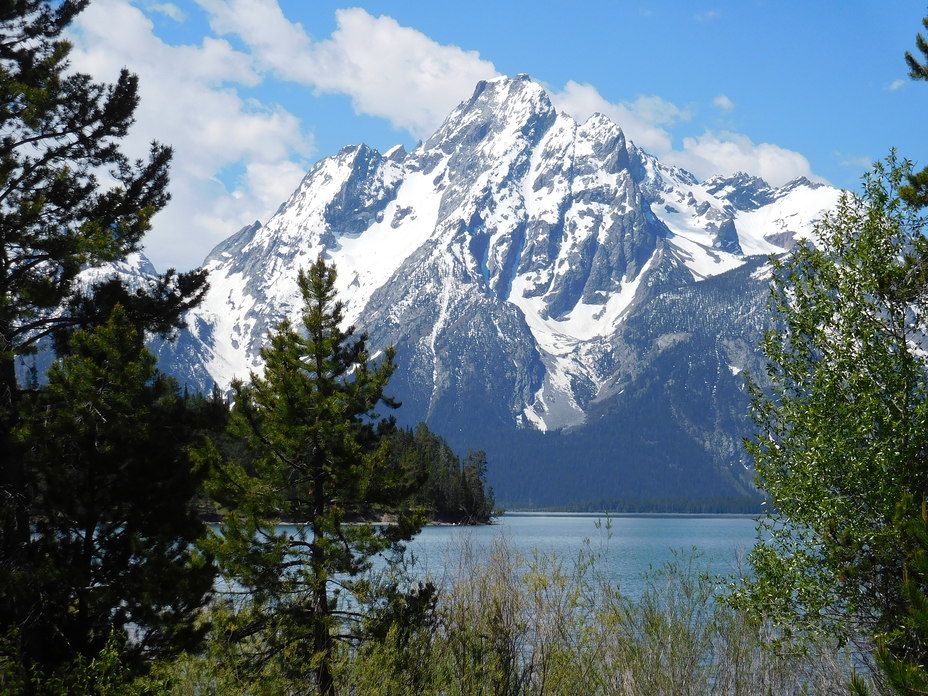 Grand Teton in the spring