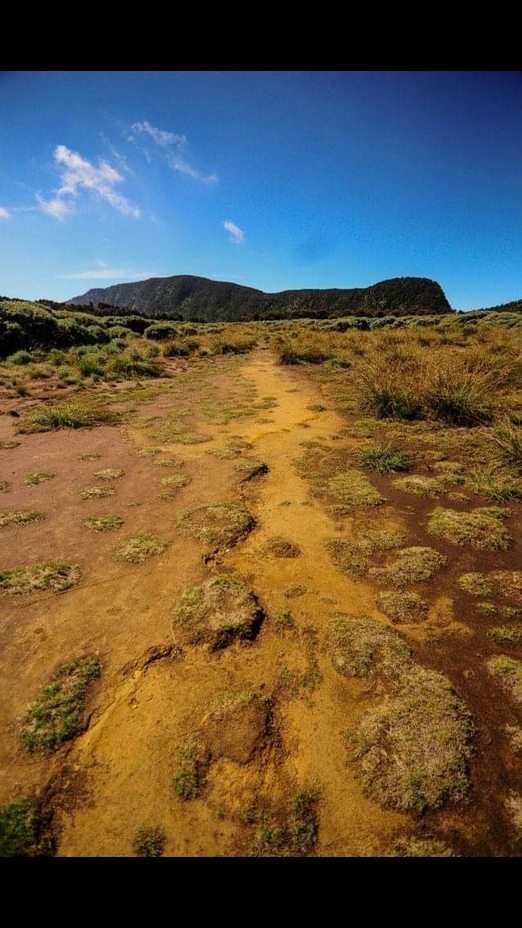 Tegal Alun Mt. Papandayan, Mount Papandayan