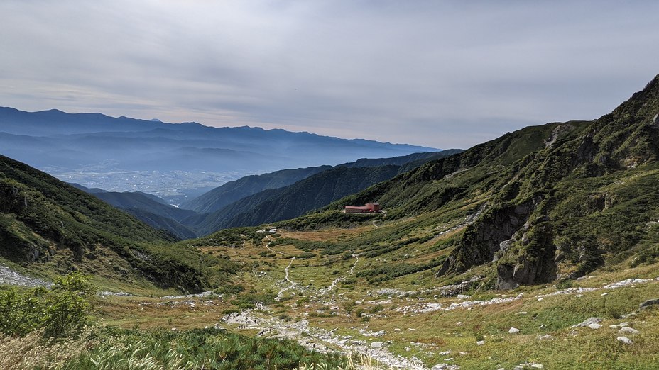 Senjojiki curl, Mount Kisokoma