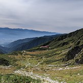 Senjojiki curl, Mount Kisokoma