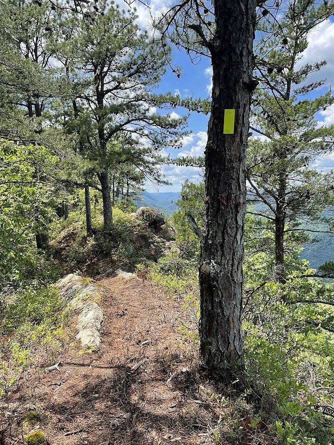 Whispering Pine Cliffs, Pine Mountain (Appalachian Mountains)