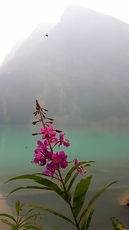 Lake louise, Mount Victoria (British Columbia) photo