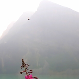 Lake louise, Mount Victoria (British Columbia)