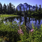 Reflection of Mt Shuksan this summer