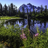 Reflection of Mt Shuksan this summer, Mount Baker