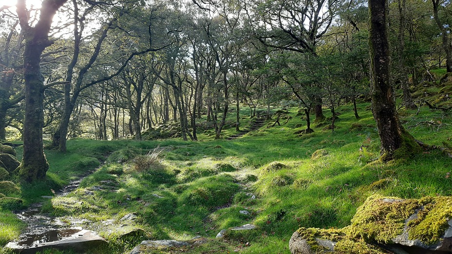 Roman Steps, Rhinog Fawr