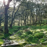 Roman Steps, Rhinog Fawr