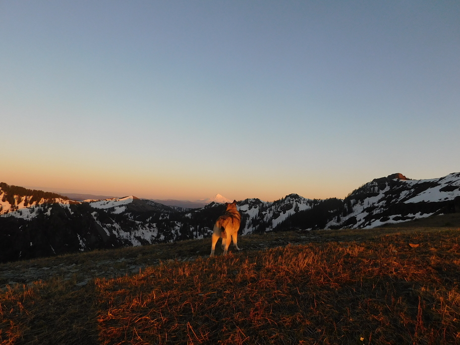 Tori On the Trail, Silver Star Mountain (Skamania County, Washington)