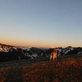 Tori On the Trail, Silver Star Mountain (Skamania County, Washington)