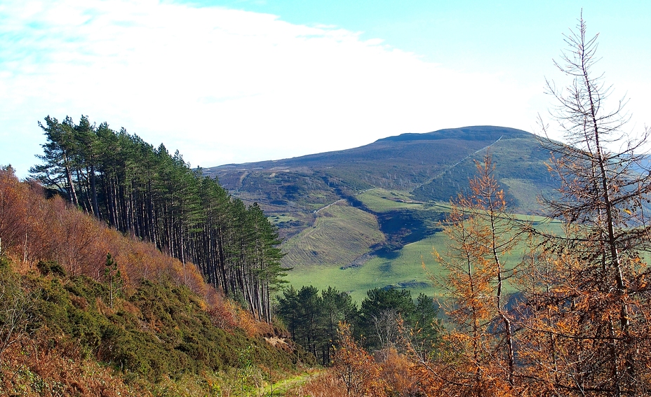 Moel Arthur from Penycloddiau