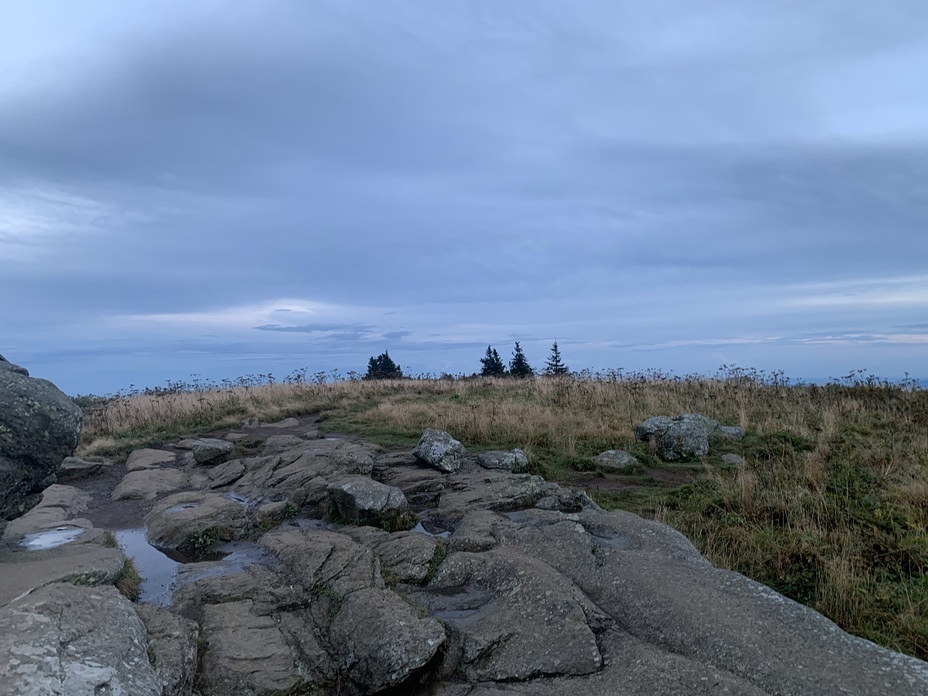 Fall at GR, Grassy Ridge Bald