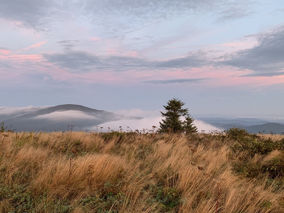 Fall at GR, Grassy Ridge Bald