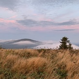 Fall at GR, Grassy Ridge Bald