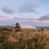 Fall at GR, Grassy Ridge Bald