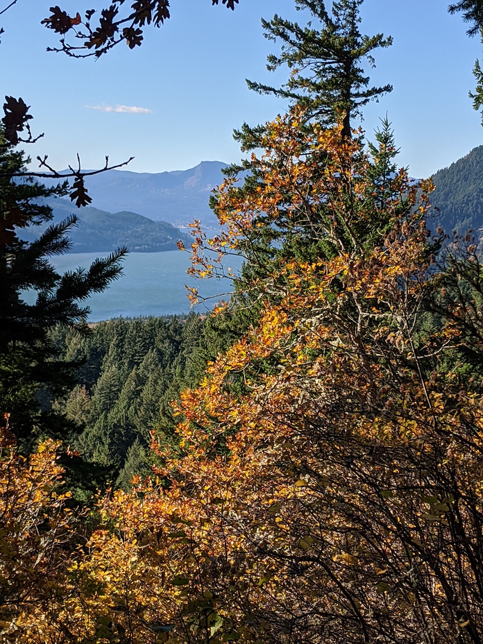 Fall colors and the Columbia River, Dog Mountain