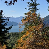 Fall colors and the Columbia River, Dog Mountain