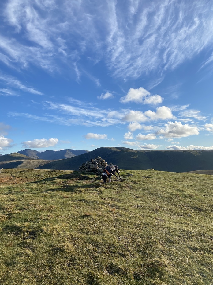 Gavel fell summit 