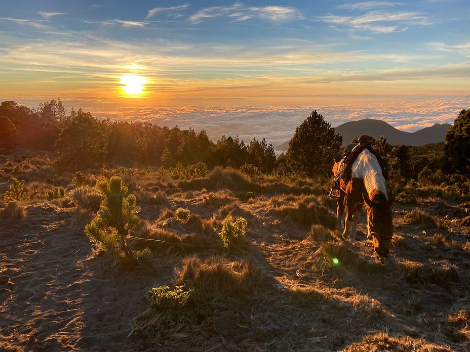 Las palapas camp, Pico de Orizaba