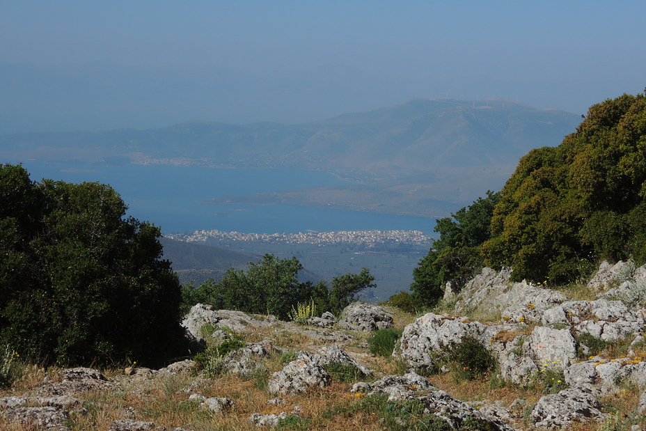 Itea panorama, Parnassus