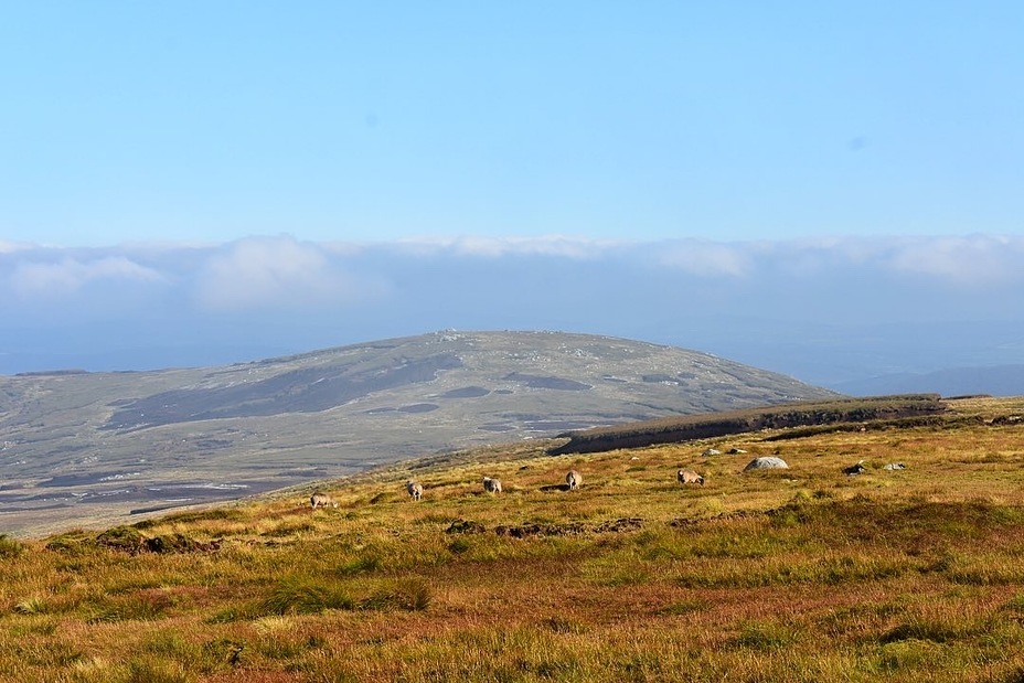 Looking east, Mullaghcleevaun