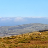 Looking east, Mullaghcleevaun