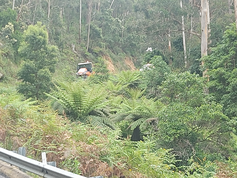 Roadworks., Brown Mountain forest