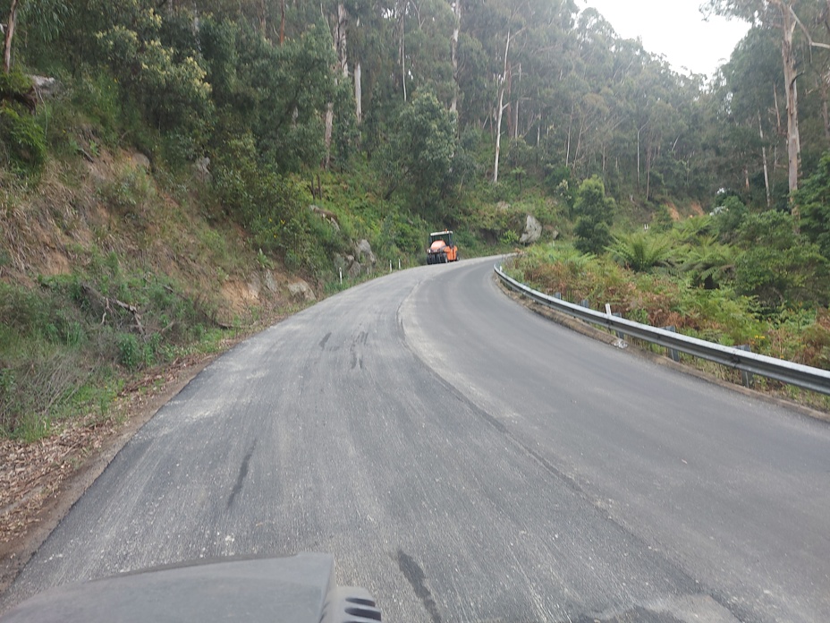 Roadworks, Brown Mountain forest