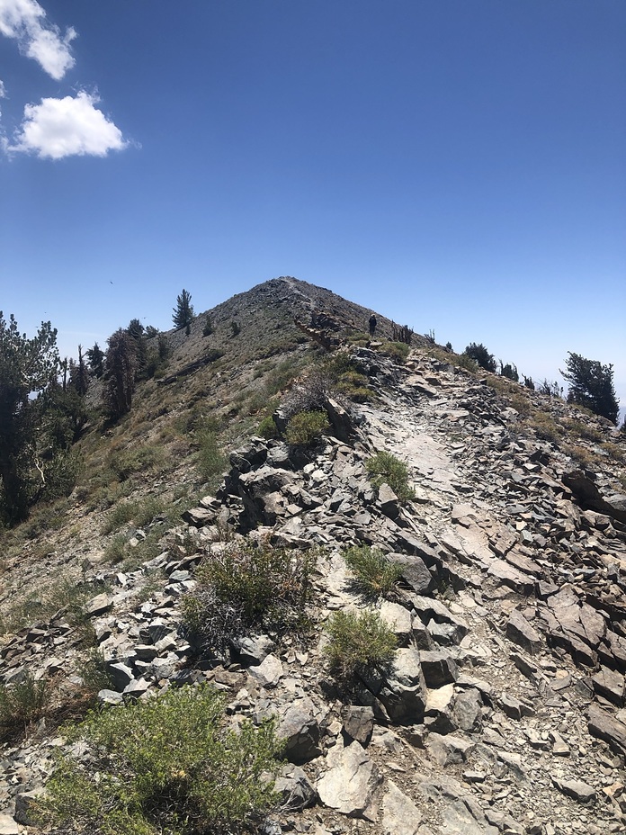 Summit Up ahead, Telescope Peak