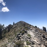 Summit Up ahead, Telescope Peak