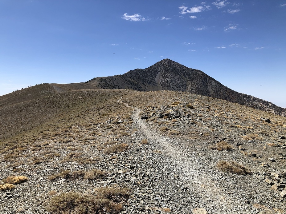 Saddle Telescope Peak