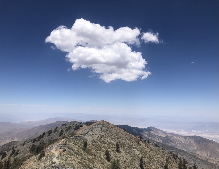 On top of Telescope Peak