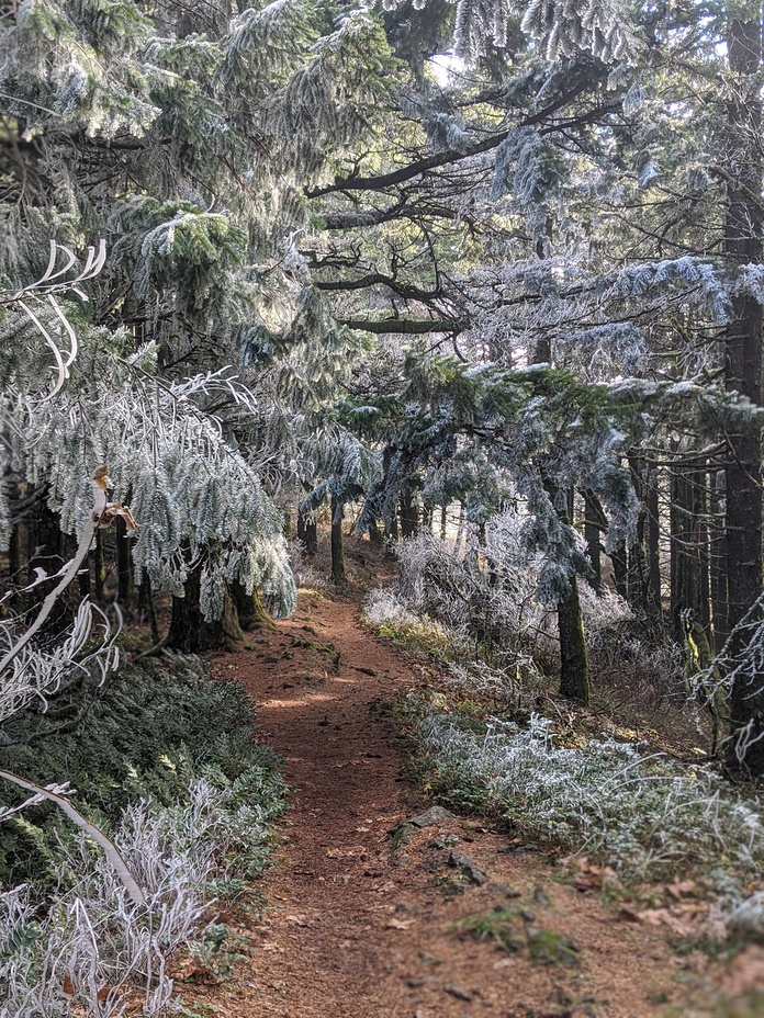Frosty hike, Dog Mountain