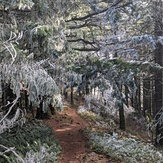 Frosty hike, Dog Mountain