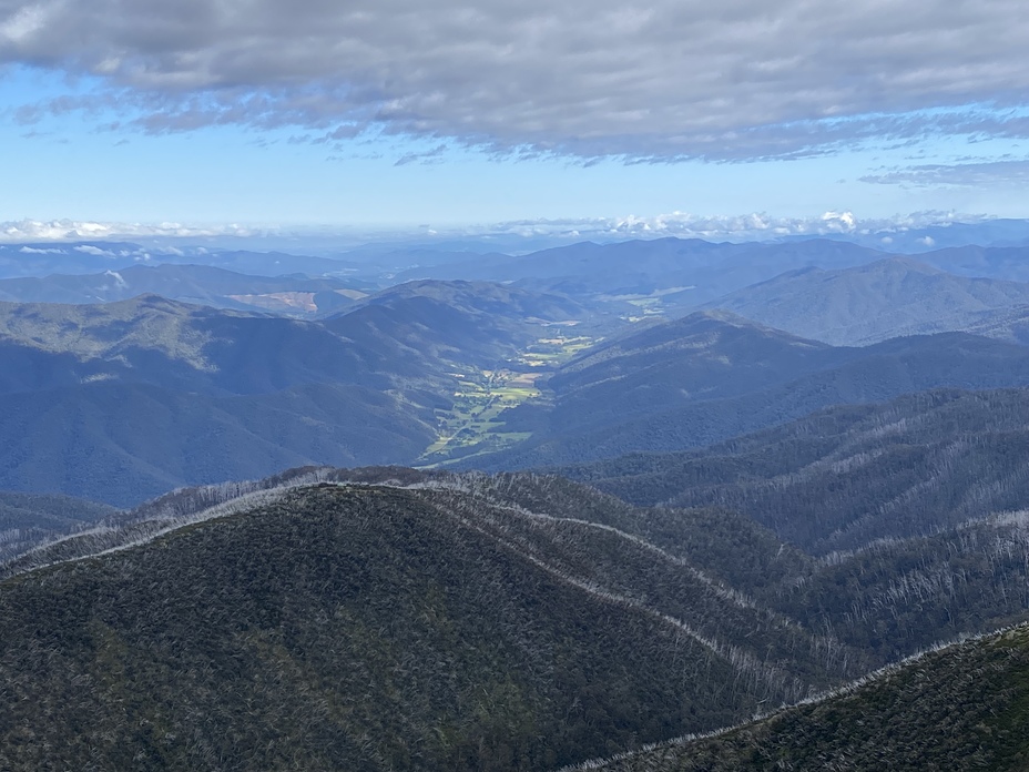 Harrietville valley from Mt Feathertop, Mount Feathertop