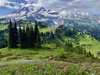 Wonderful Trail-Cowlitz Divide, Mount Rainier photo
