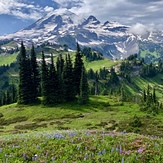 Wonderful Trail-Cowlitz Divide, Mount Rainier
