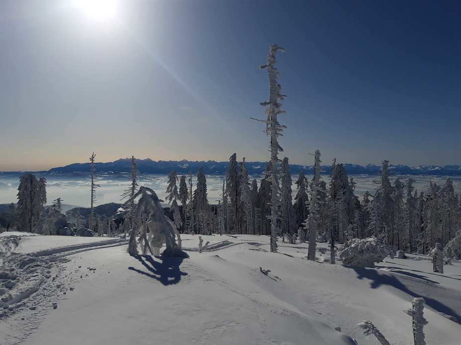 On the top of Turbacz montain