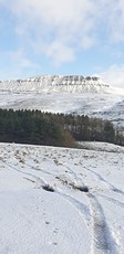 Snow covered Pen-y-ghent photo