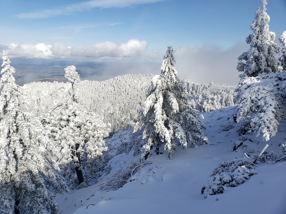 North side, Mount Saint Helena