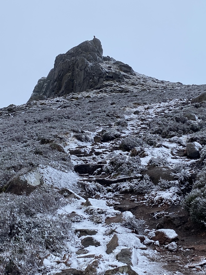 Stunning snowy Clachnben, Clachnaben