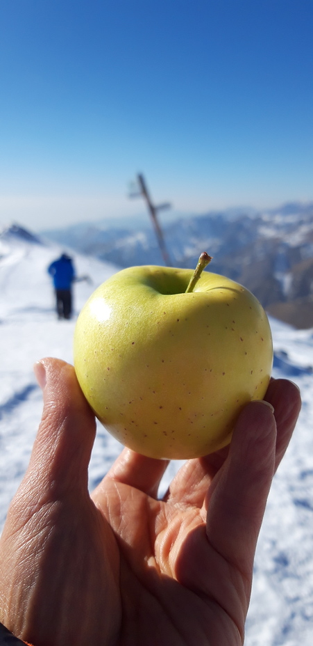 kolakchal-my apple, Tochal