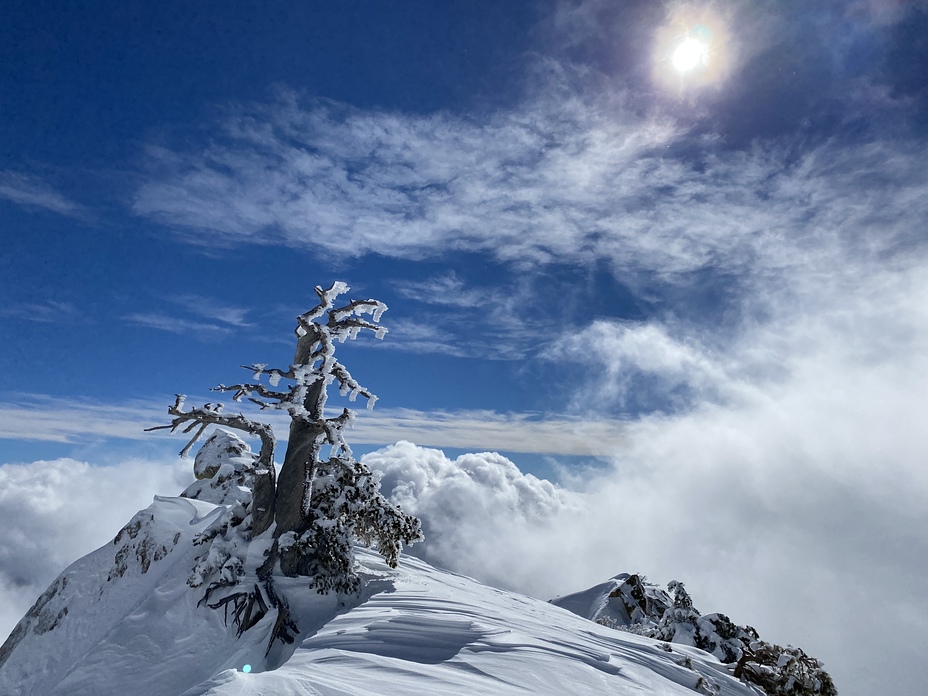 9100’, Mount San Antonio