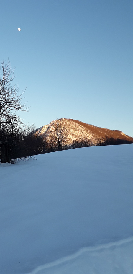 Veliki Povlen