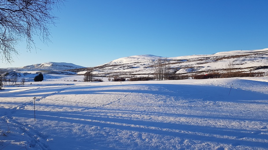 Garrle hill, Campsie Fell