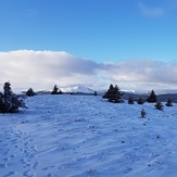 Carron valley, Campsie Fell