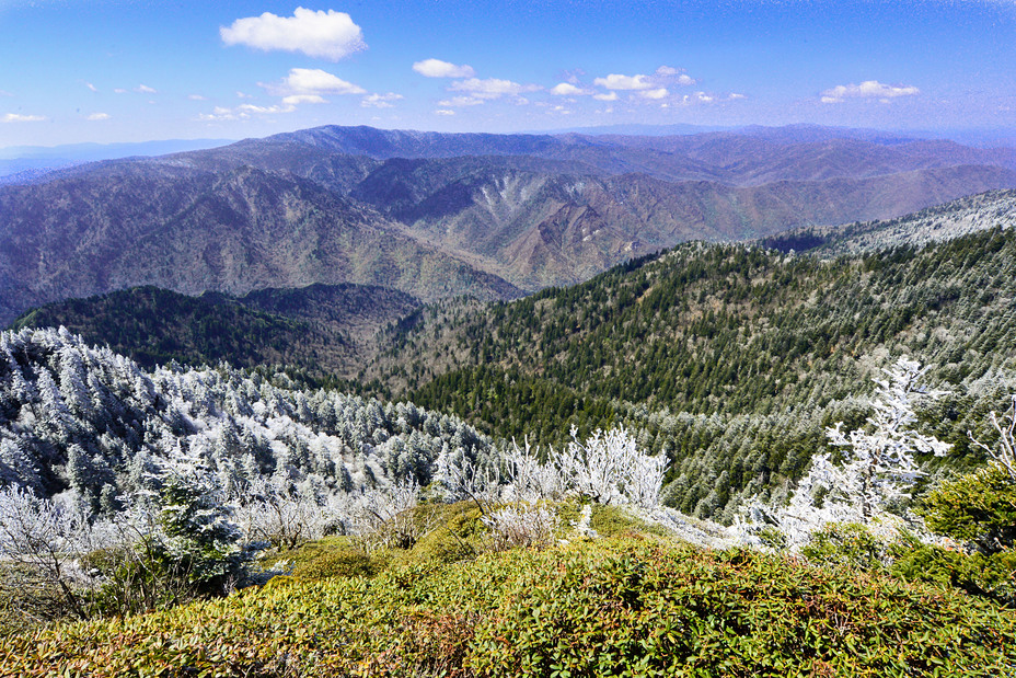 Mount LeConte weather