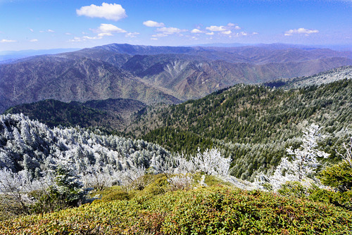 Mount LeConte
